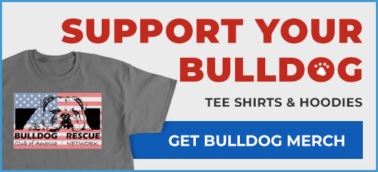Bulldog club of hotsell america rescue network